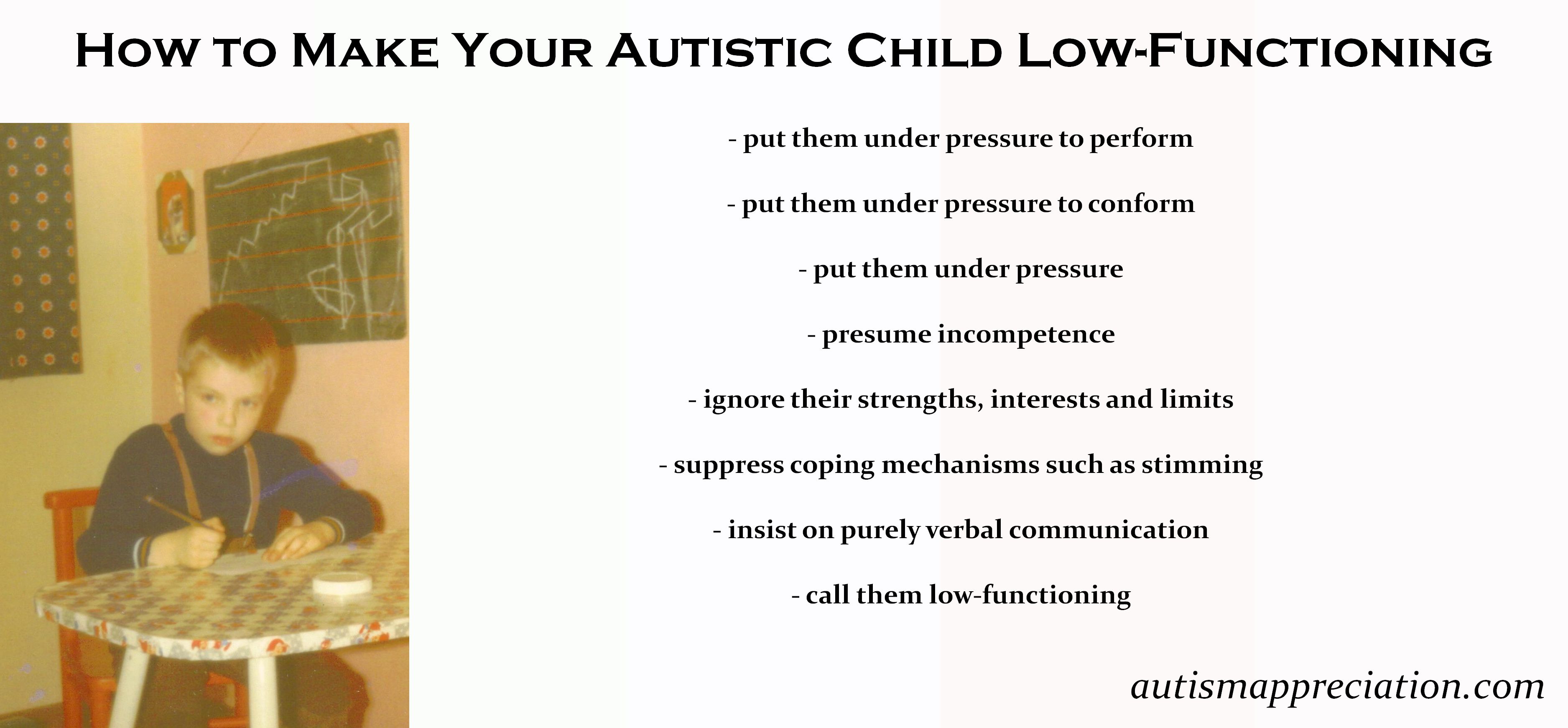 What Is Low Functioning Autism Frank L Ludwig 