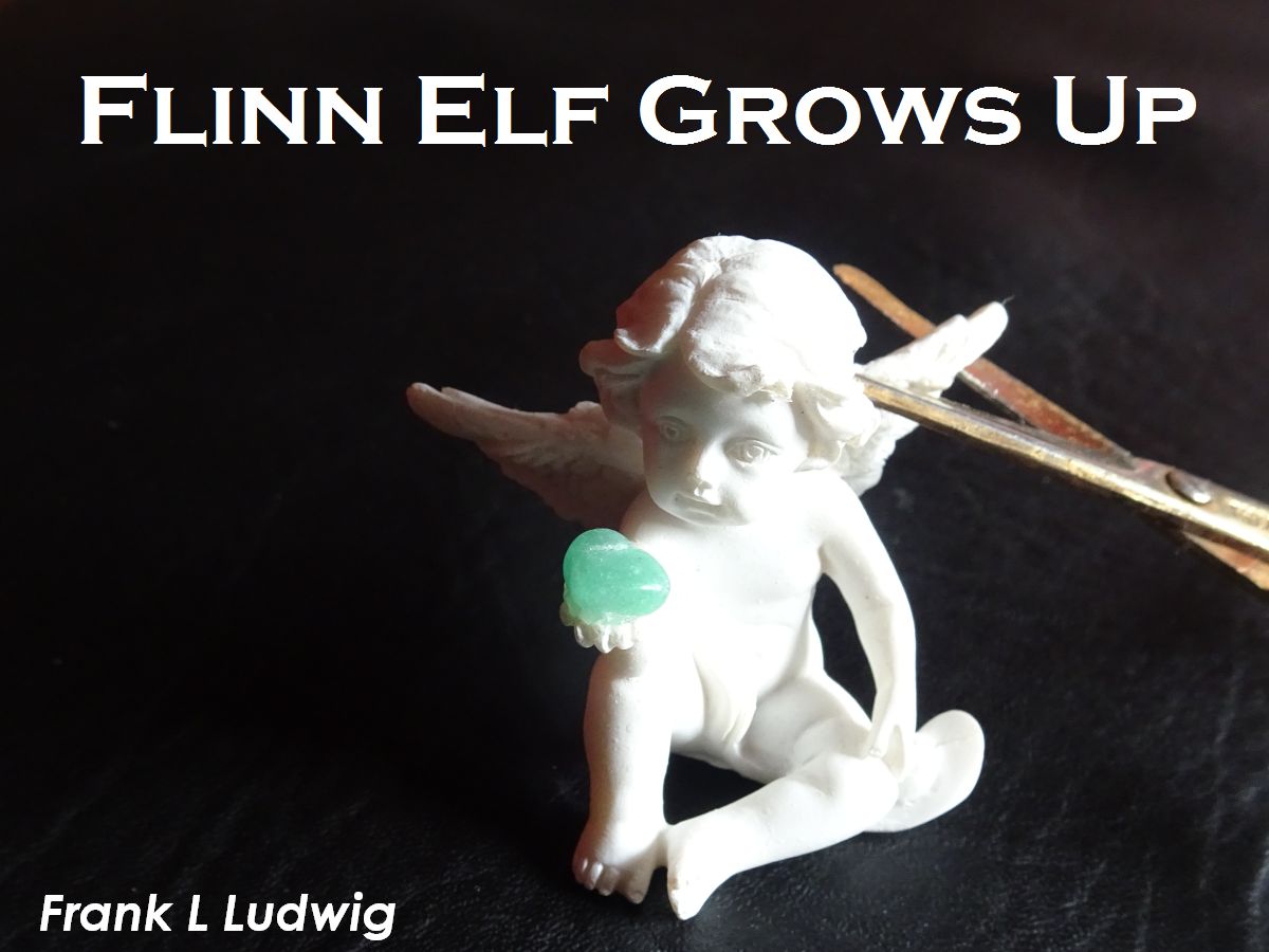 Flinn Elf Grows Up