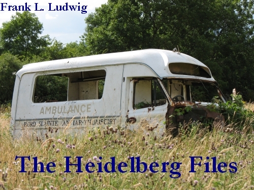 The Heidelberg Files