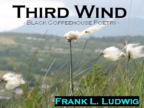 Third Wind (Black Coffeehouse Poetry)