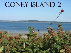 Coney Island 2