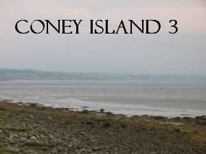 Coney Island 3