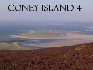 Coney Island 4