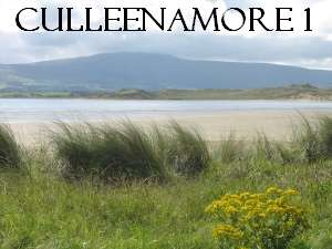 Culleenamore 1