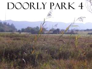 Doorly Park 4