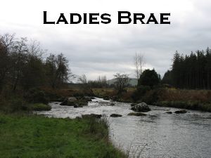 Ladies Brae, Ox Mountains