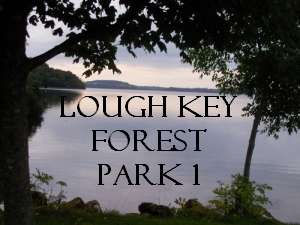 Lough Key Forest Park 1, Fairy Bridge