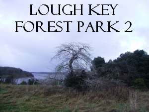 Lough Key Forest Park 2, Rockingham Estate Church, Moylurg Tower