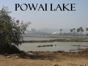 Powai Lake