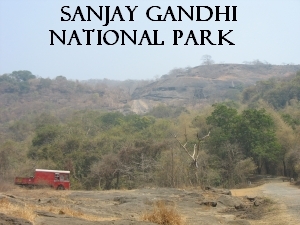 Sanjay Gandhi National Park 1