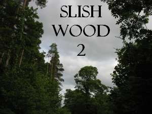 Slish Wood (Sleuth Wood)