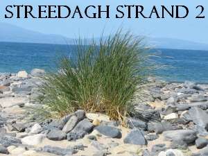 Streedagh Strand 2