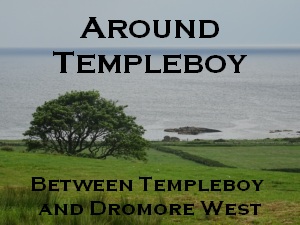 Between Templeby and Dromore West