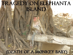 Tragedy on Elephanta Island (Death of a Monkey Baby)